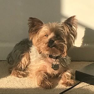 Meet your Posher, Carlos